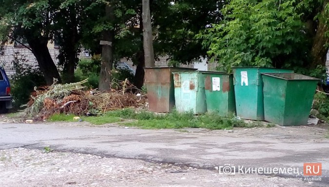 Один из самых благоустроенных микрорайонов Кинешмы «Поликор» завален мусором фото 10