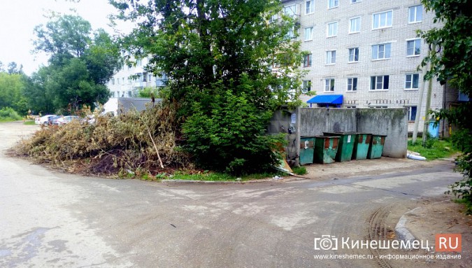 Один из самых благоустроенных микрорайонов Кинешмы «Поликор» завален мусором фото 2
