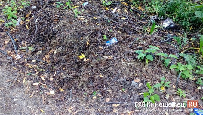 Один из самых благоустроенных микрорайонов Кинешмы «Поликор» завален мусором фото 8