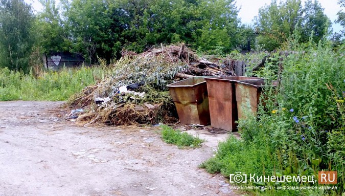 Один из самых благоустроенных микрорайонов Кинешмы «Поликор» завален мусором фото 13