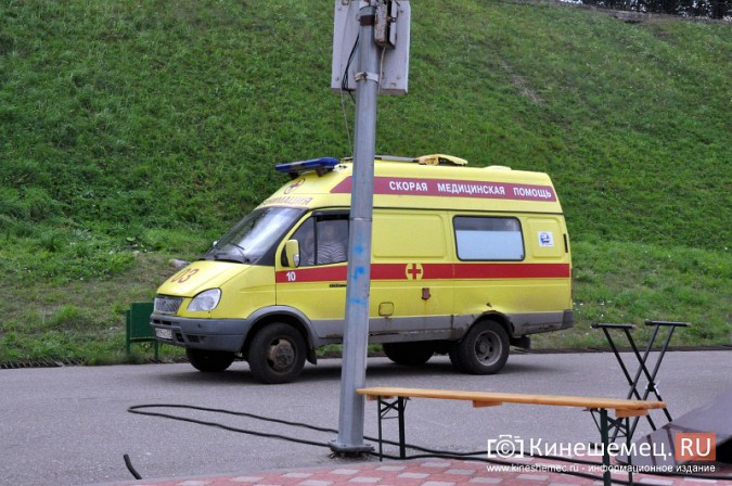 В Кинешме девушка потеряла сознание от укуса осы фото 3