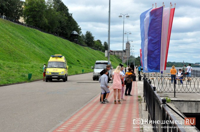 В Кинешме девушка потеряла сознание от укуса осы фото 2
