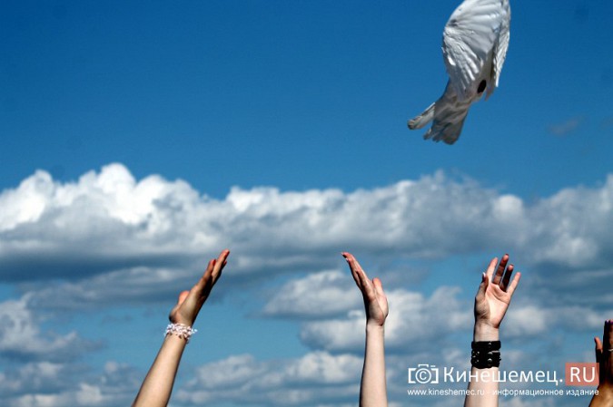 В Кинешме прошел благотворительный забег «Волжская невеста» фото 104