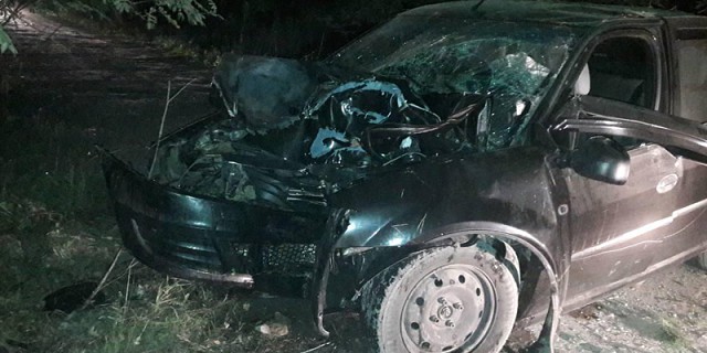 В Ивановской области пьяный водитель врезался в дерево фото 2