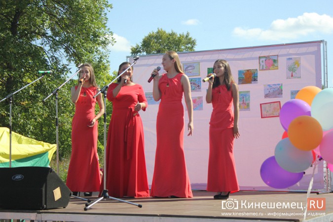 Дни микрорайонов «Красная Ветка» и «Волжанка» в Кинешме объединили фото 12