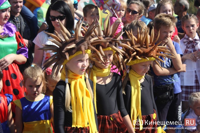 Дни микрорайонов «Красная Ветка» и «Волжанка» в Кинешме объединили фото 6