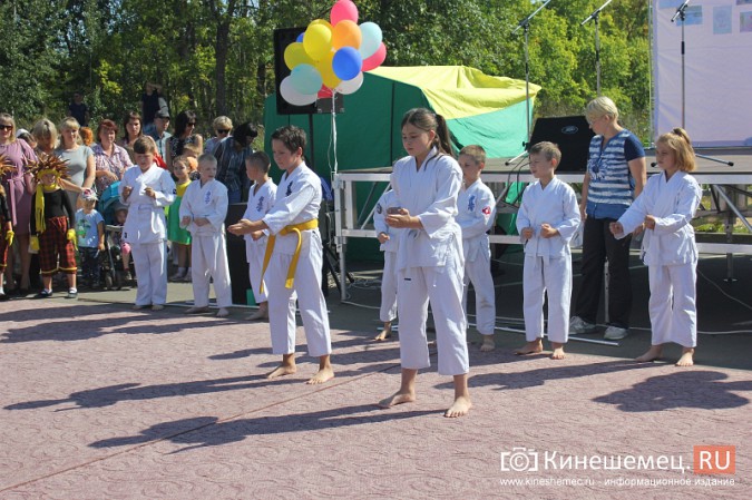 Дни микрорайонов «Красная Ветка» и «Волжанка» в Кинешме объединили фото 2
