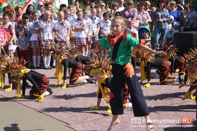 Дни микрорайонов «Красная Ветка» и «Волжанка» в Кинешме объединили фото 14