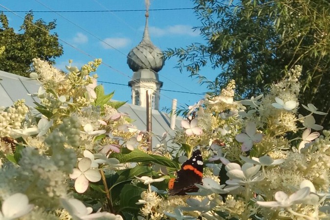 За 3 месяца калининградец прошел вдоль Волги от Астрахани до Кинешмы фото 8