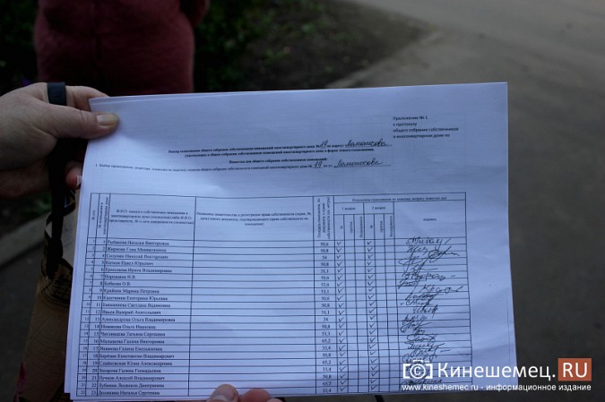 Гигантские тополя держат в страхе двор кинешемской многоэтажки фото 4