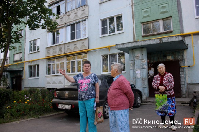 Гигантские тополя держат в страхе двор кинешемской многоэтажки фото 3