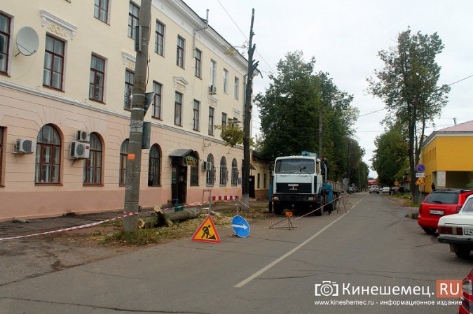 В Кинешме спиливают липы на улице Советской фото 2