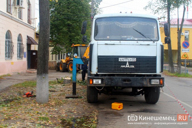 В Кинешме спиливают липы на улице Советской фото 5