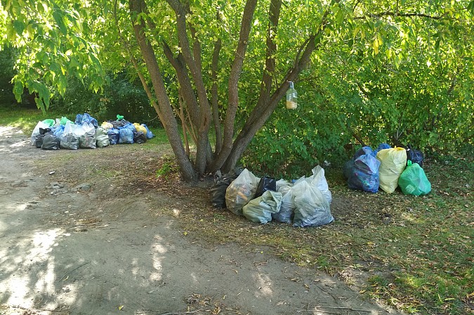 Всемирный День чистоты в Кинешме отметили большой уборкой Волжского бульвара фото 6