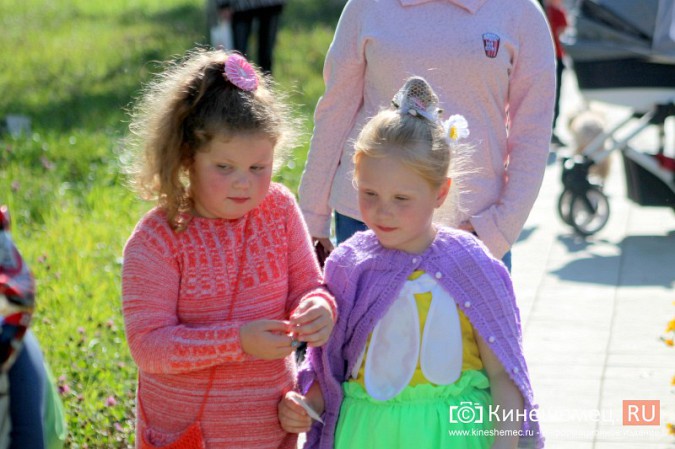 Светлана Тарханова удостоена звания «Почетный житель микрорайона «ДХЗ» фото 46