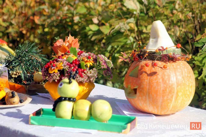 Светлана Тарханова удостоена звания «Почетный житель микрорайона «ДХЗ» фото 7