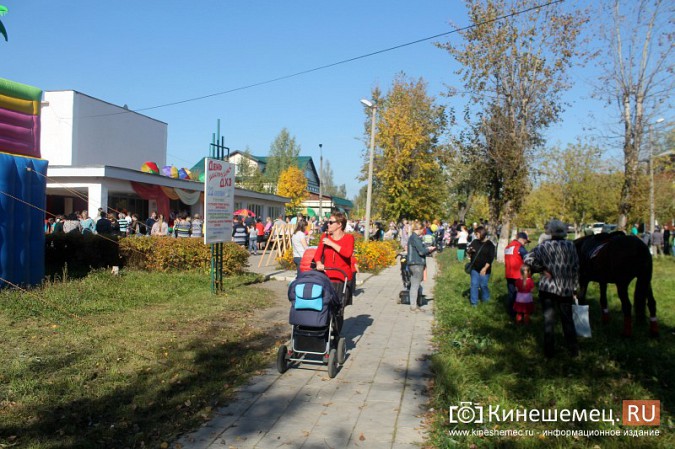 Светлана Тарханова удостоена звания «Почетный житель микрорайона «ДХЗ» фото 47