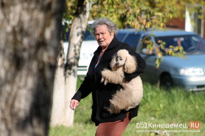 Светлана Тарханова удостоена звания «Почетный житель микрорайона «ДХЗ» фото 45