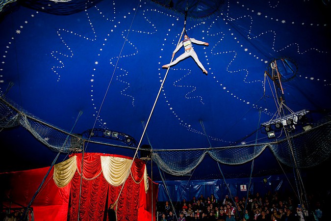 Цирк-шапито «Пегас» в Кинешме фото 4