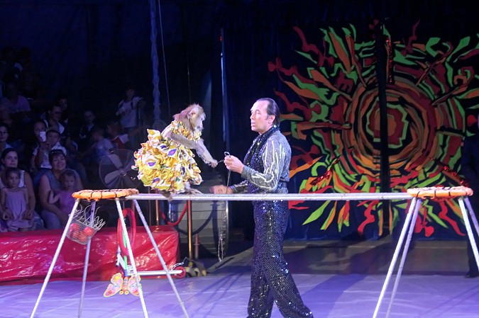 Цирк-шапито «Пегас» в Кинешме фото 9