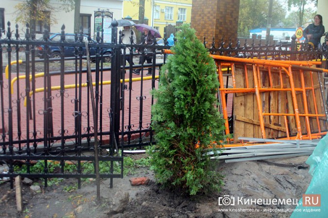Московские туристы и кинешемские студенты высадили 50 саженцев в сквере у поликлиники фото 24