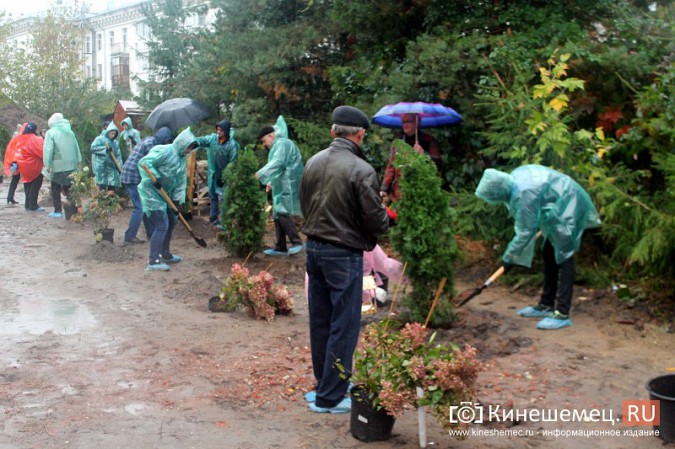 Московские туристы и кинешемские студенты высадили 50 саженцев в сквере у поликлиники фото 12