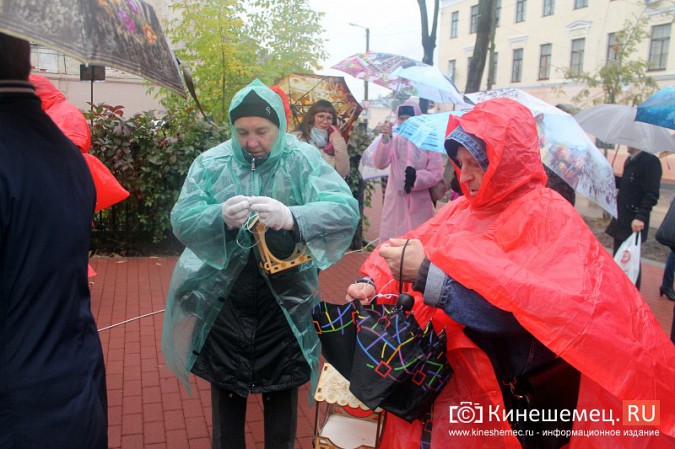 Московские туристы и кинешемские студенты высадили 50 саженцев в сквере у поликлиники фото 4