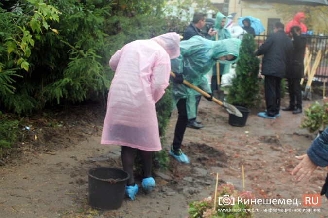 Московские туристы и кинешемские студенты высадили 50 саженцев в сквере у поликлиники фото 17