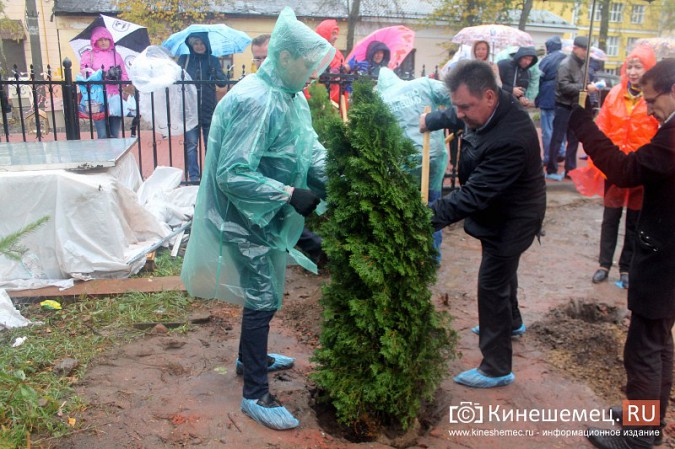 Московские туристы и кинешемские студенты высадили 50 саженцев в сквере у поликлиники фото 11