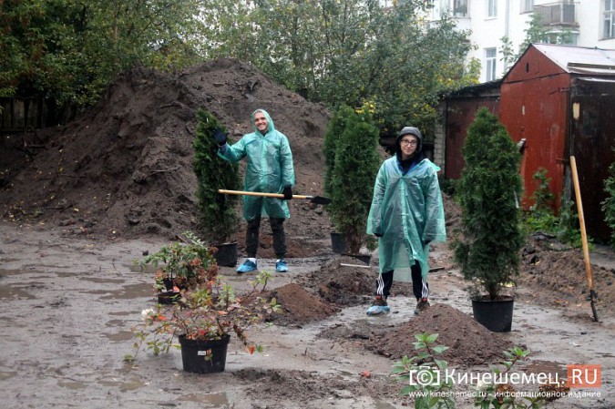 Московские туристы и кинешемские студенты высадили 50 саженцев в сквере у поликлиники фото 22