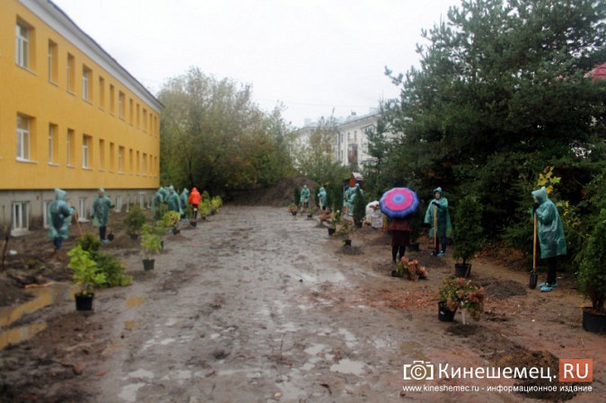 Московские туристы и кинешемские студенты высадили 50 саженцев в сквере у поликлиники фото 3