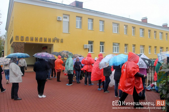 Московские туристы и кинешемские студенты высадили 50 саженцев в сквере у поликлиники фото 6