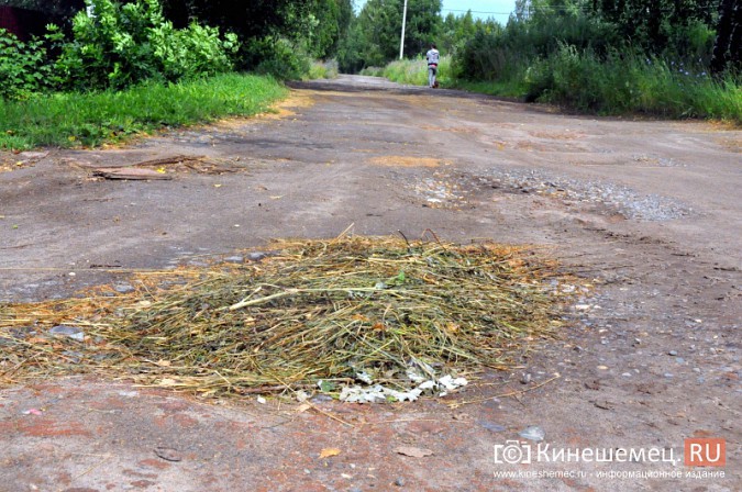 Кинешемские единороссы не проголосовали за освещение улицы им. Героя Советского Союза фото 2