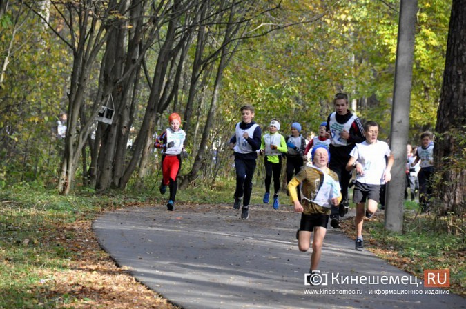 Сильнейшие лыжники соревновались в Кинешме в кроссе фото 15