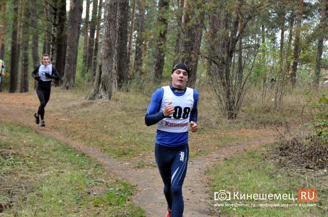 Сильнейшие лыжники соревновались в Кинешме в кроссе фото 65
