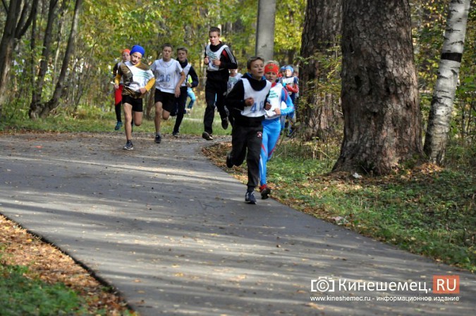Сильнейшие лыжники соревновались в Кинешме в кроссе фото 14