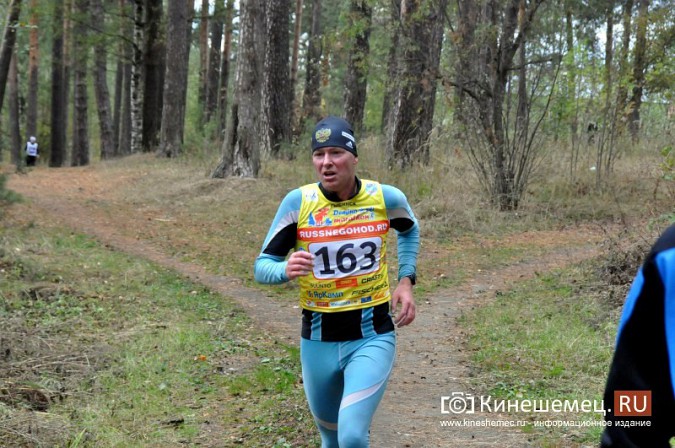 Сильнейшие лыжники соревновались в Кинешме в кроссе фото 67