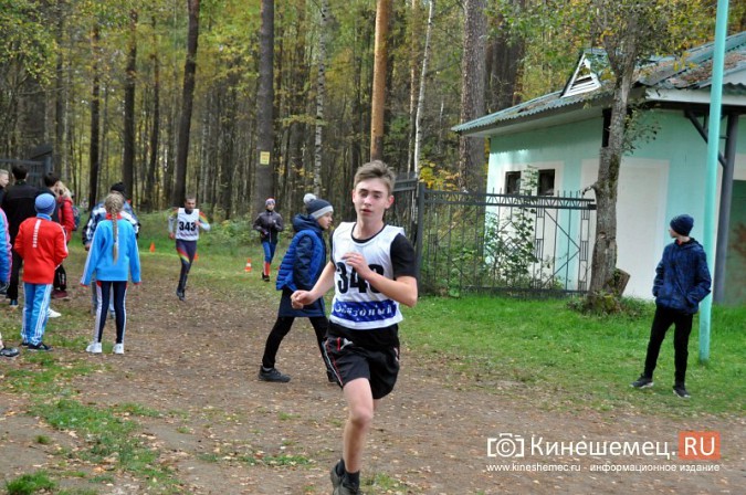 Сильнейшие лыжники соревновались в Кинешме в кроссе фото 36
