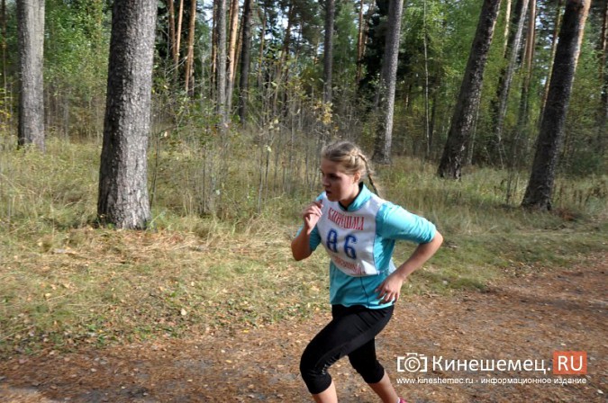 Сильнейшие лыжники соревновались в Кинешме в кроссе фото 55