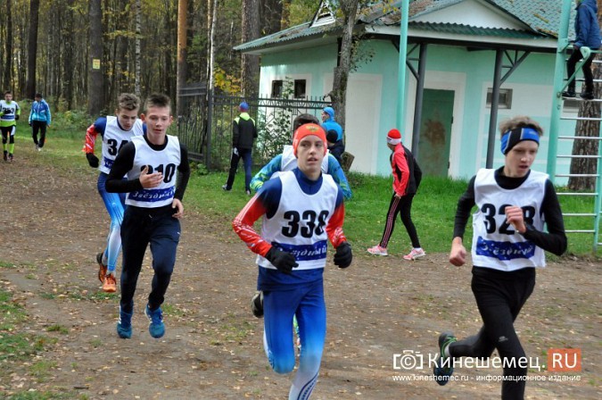 Сильнейшие лыжники соревновались в Кинешме в кроссе фото 35