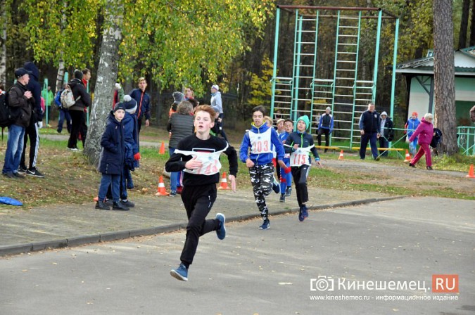 Сильнейшие лыжники соревновались в Кинешме в кроссе фото 32