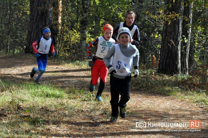 Сильнейшие лыжники соревновались в Кинешме в кроссе фото 17