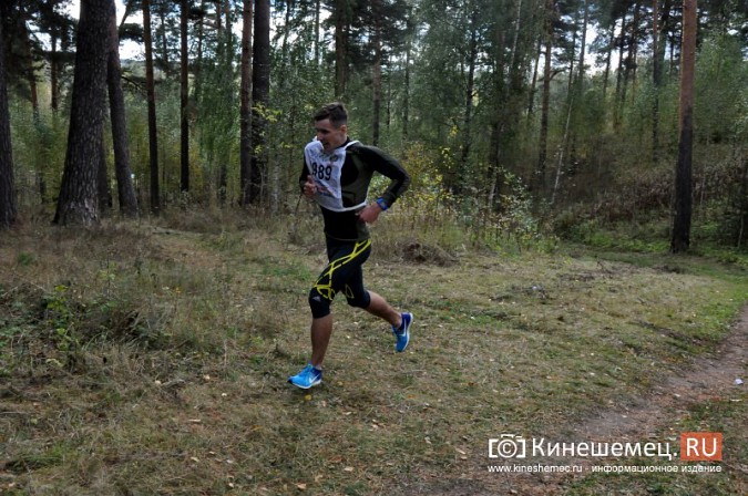 Сильнейшие лыжники соревновались в Кинешме в кроссе фото 59