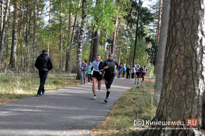 Сильнейшие лыжники соревновались в Кинешме в кроссе фото 44
