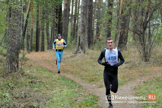 Сильнейшие лыжники соревновались в Кинешме в кроссе фото 66