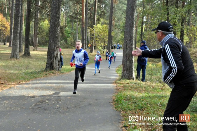 Сильнейшие лыжники соревновались в Кинешме в кроссе фото 18
