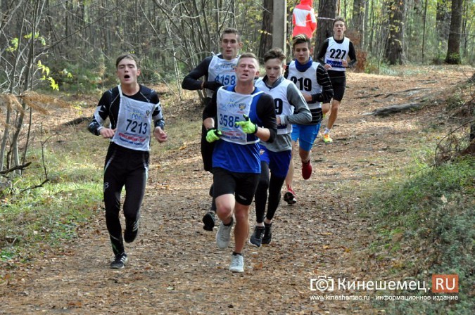 Сильнейшие лыжники соревновались в Кинешме в кроссе фото 54