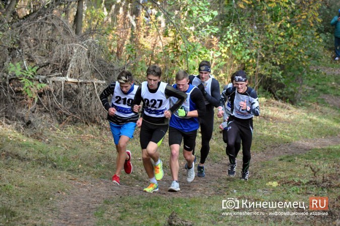 Сильнейшие лыжники соревновались в Кинешме в кроссе фото 51