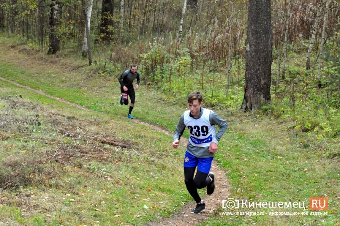 Сильнейшие лыжники соревновались в Кинешме в кроссе фото 63