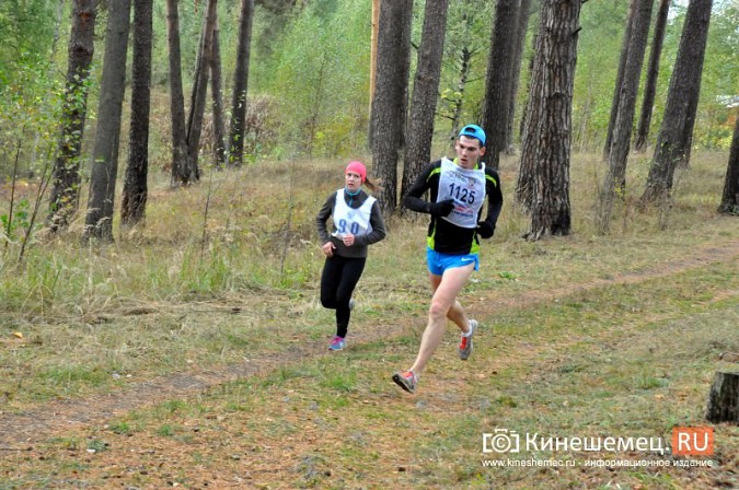 Сильнейшие лыжники соревновались в Кинешме в кроссе фото 58